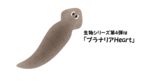 04viA.png