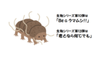 10N}V.png