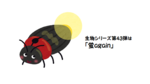 43u.png